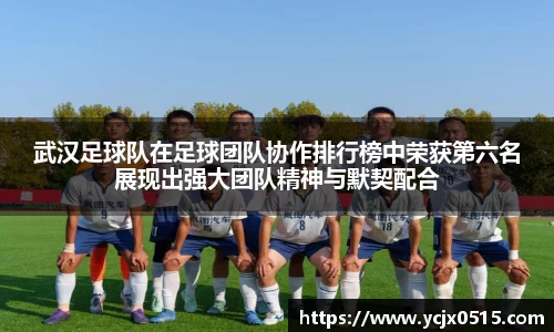 武汉足球队在足球团队协作排行榜中荣获第六名展现出强大团队精神与默契配合
