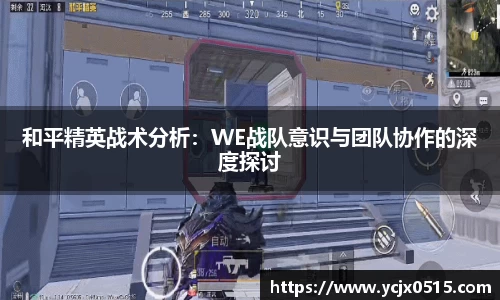 和平精英战术分析：WE战队意识与团队协作的深度探讨