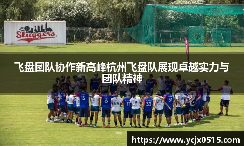 飞盘团队协作新高峰杭州飞盘队展现卓越实力与团队精神