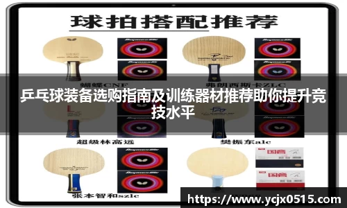 乒乓球装备选购指南及训练器材推荐助你提升竞技水平